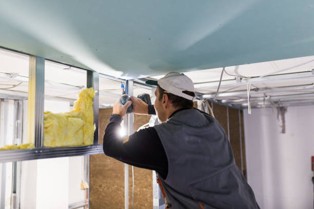 Best Insulation Maintenance and Repair in Highland Rk, PA
